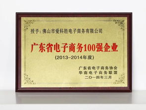 童趣汇 佛山童装领导者的品牌故事与电商平台运营之道