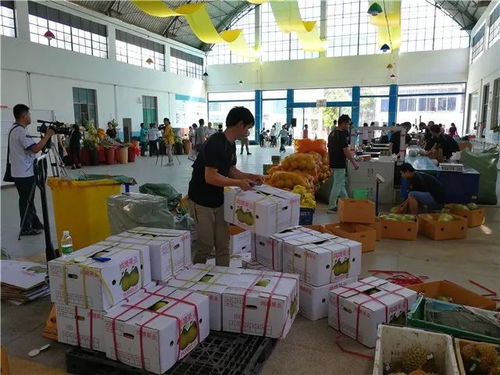 农村电商新引擎 景洪公共仓服务中心启动运营，赋能平台高效配送